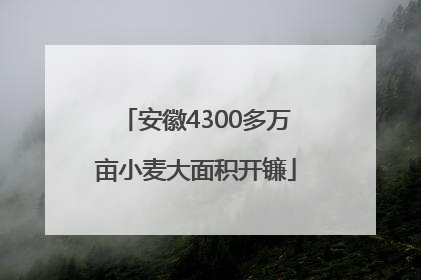 安徽4300多万亩小麦大面积开镰